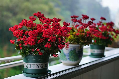 养护小贴士：水分是关键