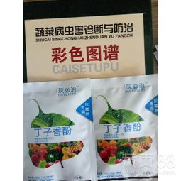 灰霉病大作战,特效药哪里找?