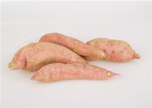 防范和治疗红薯锈病的方法