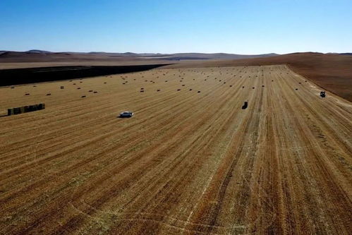 生态修复优选组合