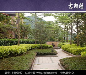 别墅植物配置， 打造你的绿色家园