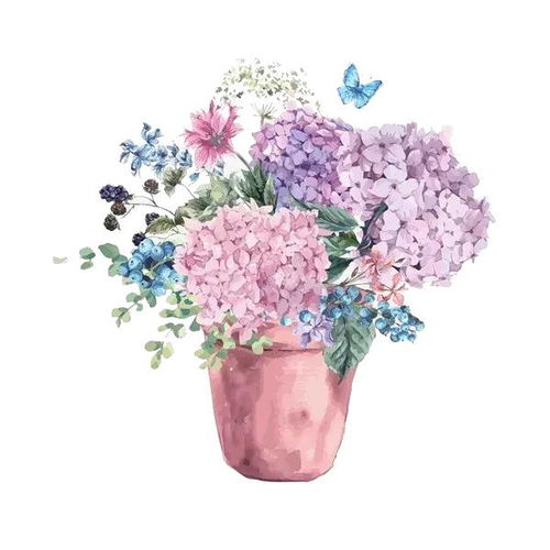 手机扫一扫识别花卉：轻松完成