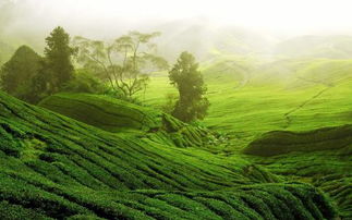 破解之道：成本效益的权衡