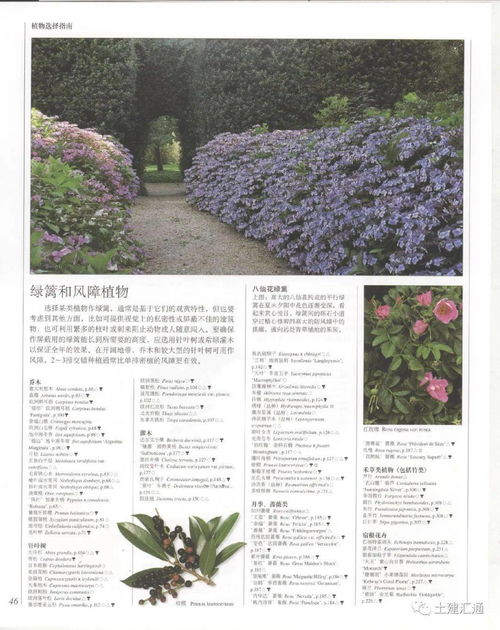 公司大门口植物选择指南，旨在打造舒适自然的办公环境