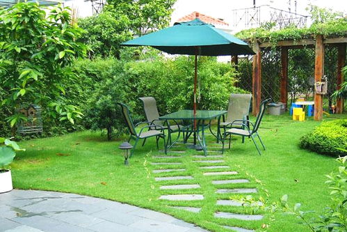 南方与北方的挑战：南方梗难选