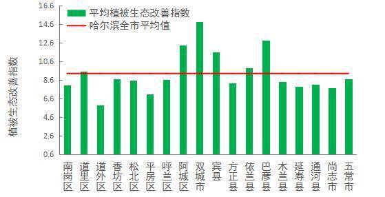 植被选择与配置：绿意盎然的秘诀