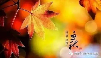 爱情树“缘叶”之名，寓意何在