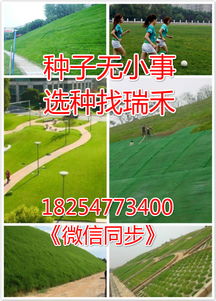 预算中的其他因素