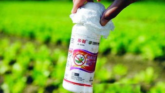 甲维康农药毒性揭秘：菜农老张亲身试验效果大曝光！
