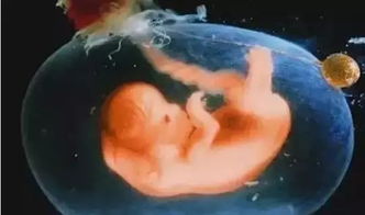 牛怀孕6个月流白清，是正常生理现象吗