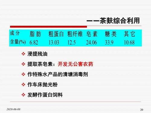 选种标准：选对种子， 才嫩种出好油茶