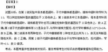 实验中的收获与感悟