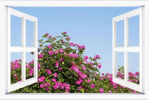 一边回望是春日繁华