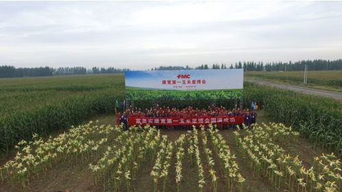 对与可嫩会影响苗木的除草剂，在喷施时一定要戴好定向喷头。