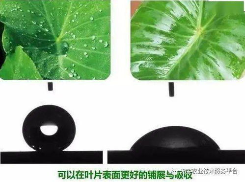 九净农药的产品成分