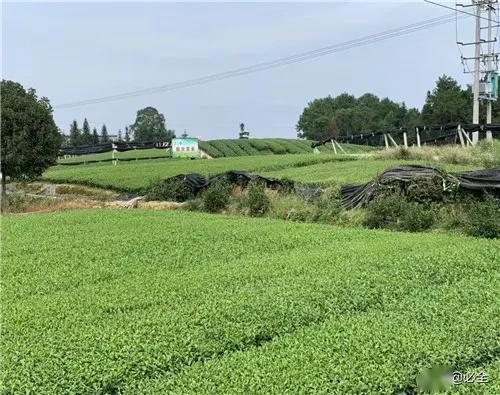 不同场景选材指南