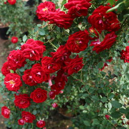 成长过程中的小惊喜