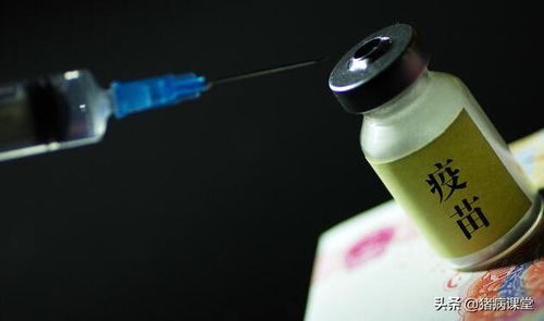 打了疫苗还会生病？猪场免疫疫苗有哪些误区？