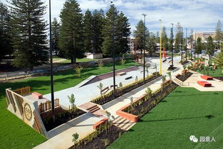 动物，动物，还是动物！