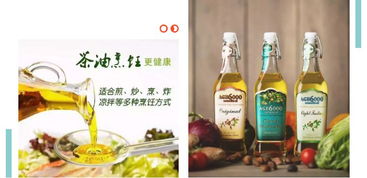 茶陵茶油价格一览：安徽雪岩高品质茶油，品质之选！