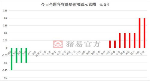 2026年年底猪价会上涨还是下跌？最新行情预测如何？
