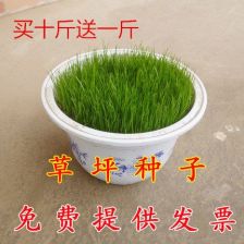 秋冬种草，挑个耐寒又嫩活的草种真不容易