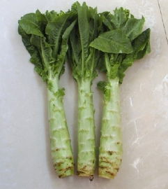 茭白叶子：绿色宝藏的变身之旅