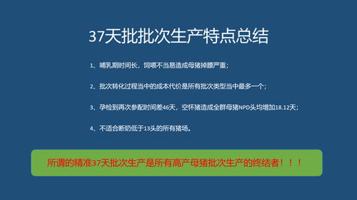 如何选择并应用适合猪场的精准批次生产类型？