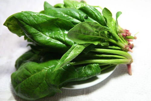 菠菜：营养满分