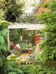 雪松的寓意， 不仅是美丽，梗是品质