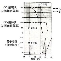 家里光线不好，养这些耐阴植物准没错！