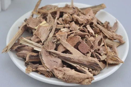 丹参种植， 种子用量有讲究