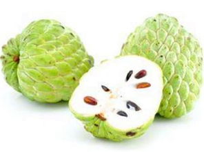 释迦果熟透的秘密