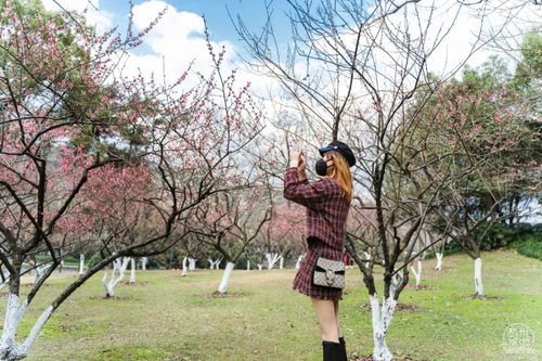 为什么别人的花园春天美如画，我的却光秃秃？