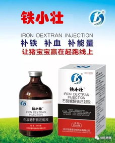 养猪补铁知多少？四大误区你了解