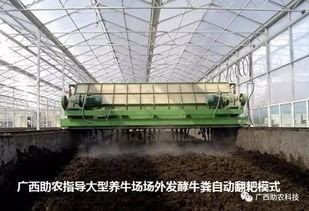 养猪场排泄物处理：资源化利用与生态循环