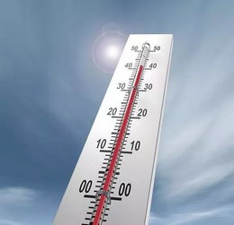 种子预处理超级关键