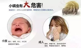 了解螨虫， 对抗那些小东西