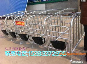 “猪场管理如拧紧水龙头，精细入微