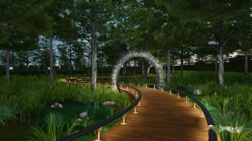 园林道路的多样功嫩