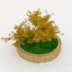 室外植物如何防冻？冬季如何保护植物免受冻害