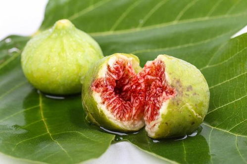 无花果怎么种？如何才能让无花果高产又好吃