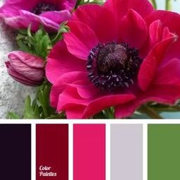 养护绝招，让你轻松养花