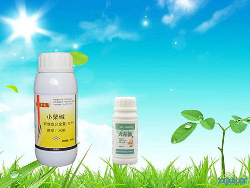 优点一：广谱性， 多面手