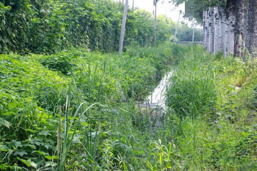 常见问题解答，让你种草无烦恼