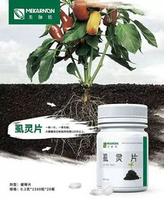 三、水稻稻飞虱的末日