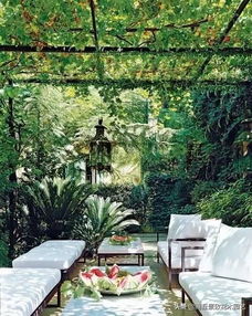 相关视频和推荐