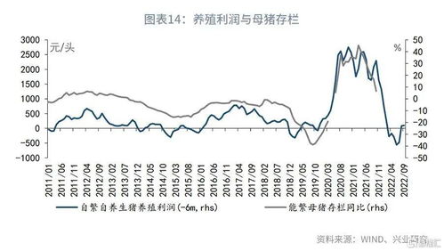 “农业养殖成本核算：饲料、人工、设备、防疫、运输等全面分析