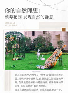 软质与硬质景观的区别