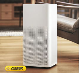 性价比之王：贝尔克 KJ800F-D8L